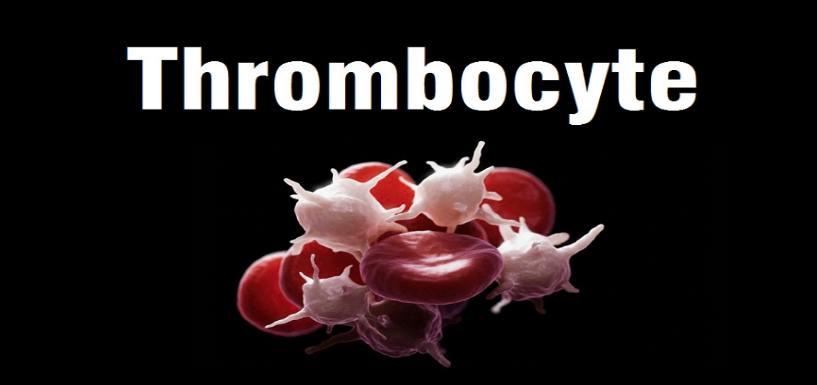 thrombocytes-platelets