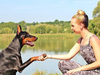 Dog and Human Featured Image