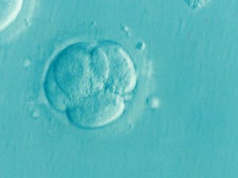 infertility