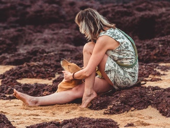 Dog Bite Featured Image