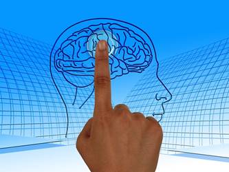 Brain Foods Featured Image