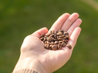 Castor Oil Benefits Featured Image