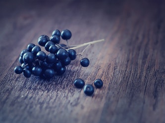 Berries Featured Image