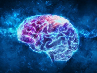 Provasil Review Is this memory supplement worth the money