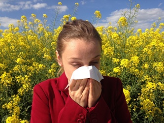 Sneezing Allergy Featured Image
