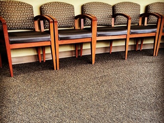 Well-Cleaned Carpet Featured Image