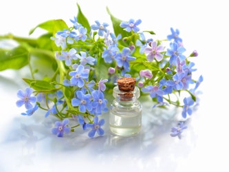 CBD Oil Featured Image