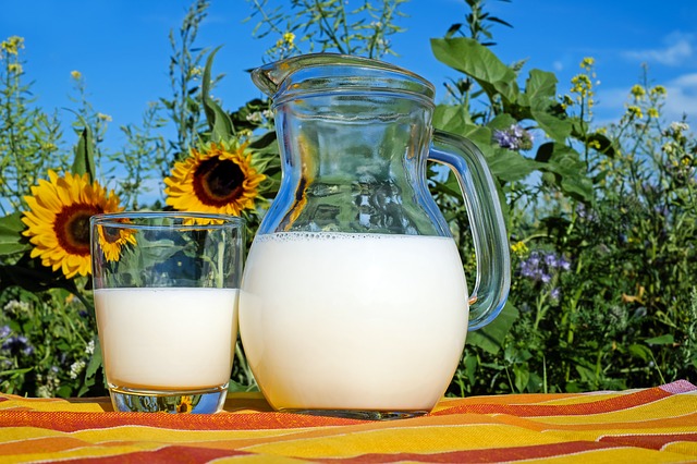 Benefits of Having Preservative-Free Organic Milk