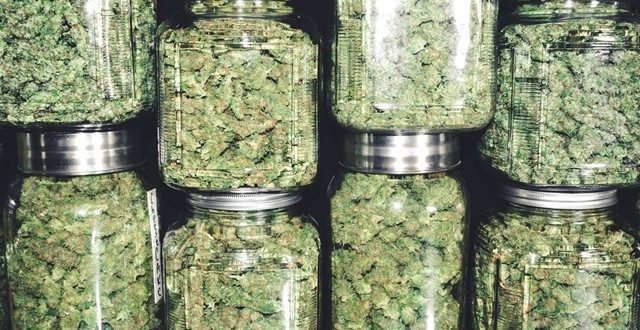 Marijuana Buds in Glass Jar Stack