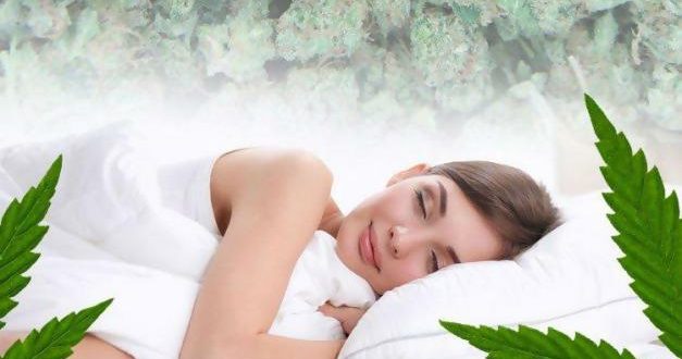 Cannabis Affects Sleep