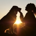 CBD Oil For Dogs: What You Need To Know CBD Oil For Dogs