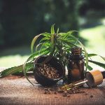 Buy CBD Products for Medicinal Purposes