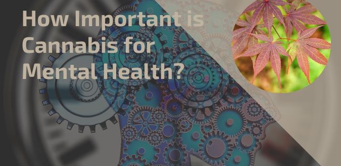 Cannabis for Mental Health