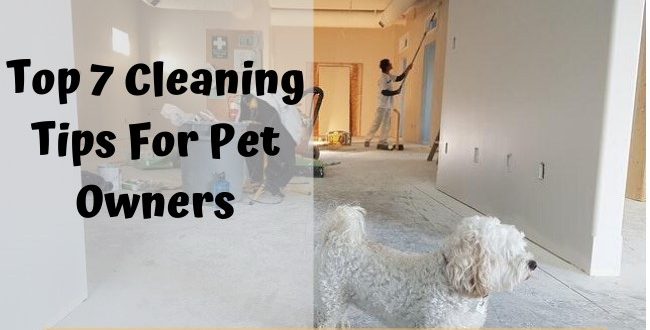 Cleaning Tips For Pet Owners