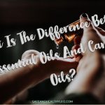 What Is The Difference Between Essential Oils And Carrier Oils?