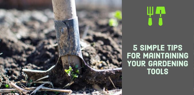 Maintaining Your Gardening Tools
