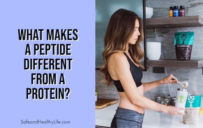 Makes a Peptide Different From a Protein