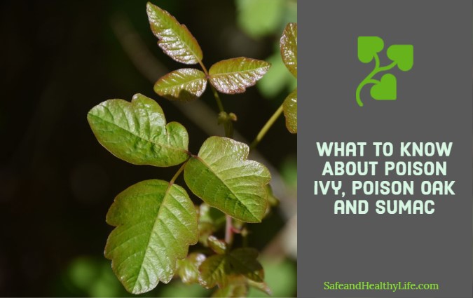 Poison Ivy, Poison Oak and Sumac