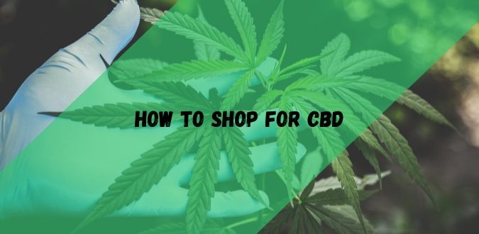 How to Shop for CBD
