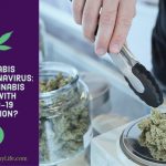 Cannabis and Coronavirus: Can Cannabis Help with Covid-19 Infection?