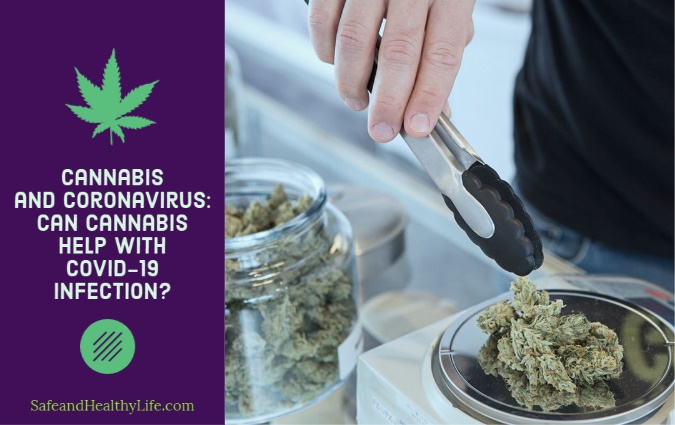 Cannabis and Coronavirus: Can Cannabis Help with Covid-19 Infection?