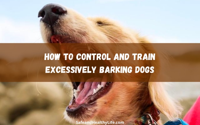 Control and Train Excessively Barking Dogs