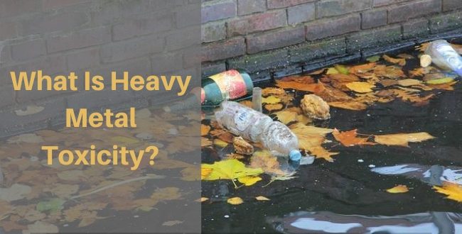 Metal Toxicity