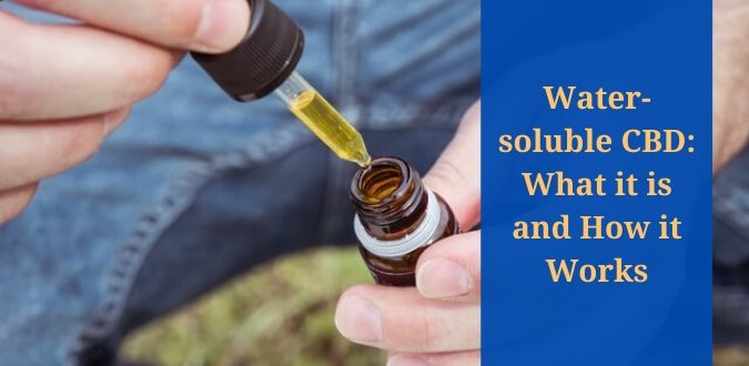 Water-soluble CBD