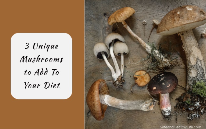 Unique Mushrooms