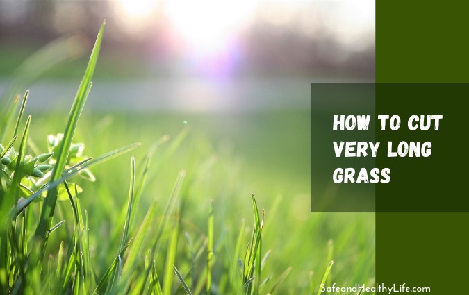 How to Cut Very Long Grass