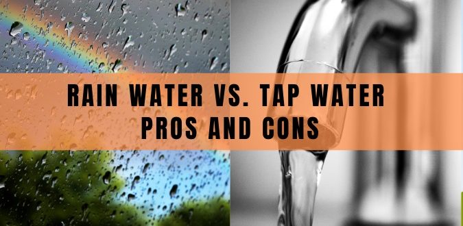 Rain Water vs. Tap Water