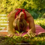 Become Flexible: 5 Stretches to Increase Range of Motion