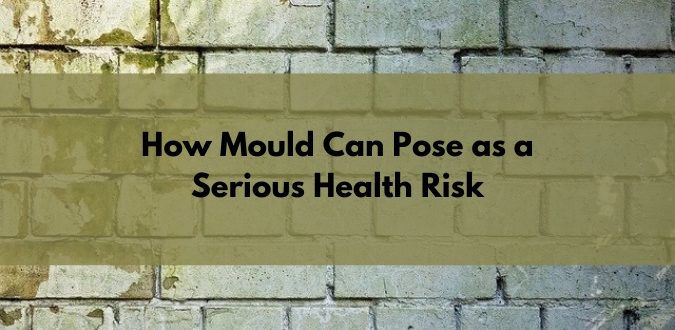 Mould health risks 