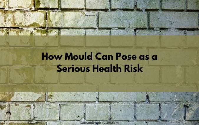 Mould health risks 