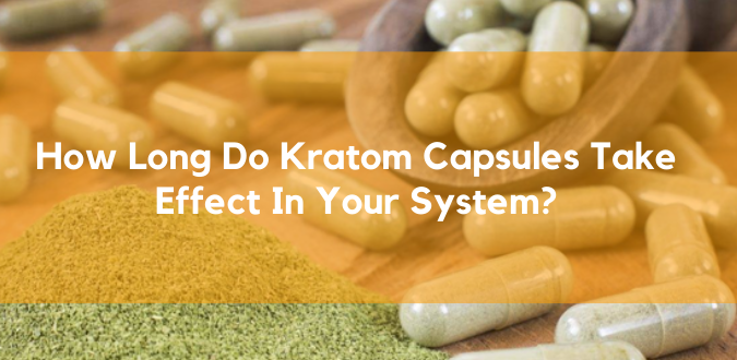 Kratom Capsules Take Effect In Your Body