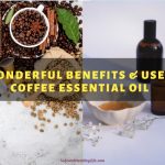 10 Wonderful Benefits & Uses Of Coffee Essential Oil
