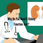Why Do You Need It Kidney Function Test?