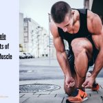 Benefits of building muscle