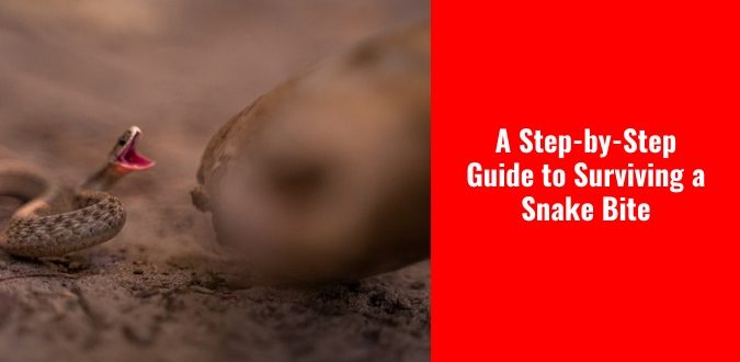 Guide to Surviving a Snake Bite