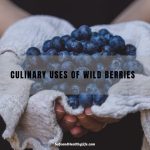 Culinary Uses of Wild Berries