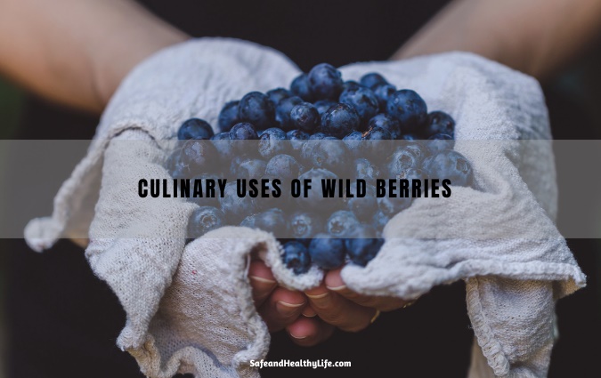 Culinary Uses of Wild Berries