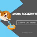Normal Dog Water Intake