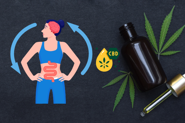 How CBD Assists With Digestive Issues