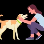 9 Natural Remedies for Common Pet Ailments Common Pet Ailments (1)