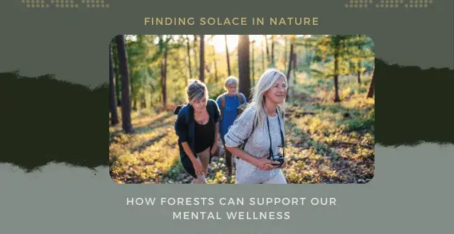 How Forests Can Support Our Mental Wellness