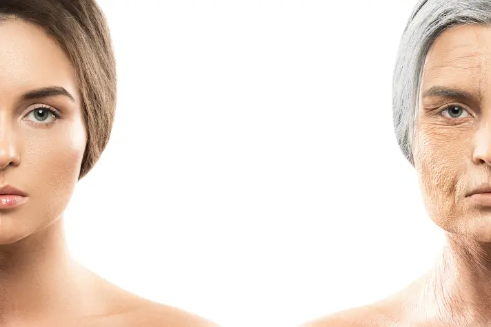 Factors Influencing Aging