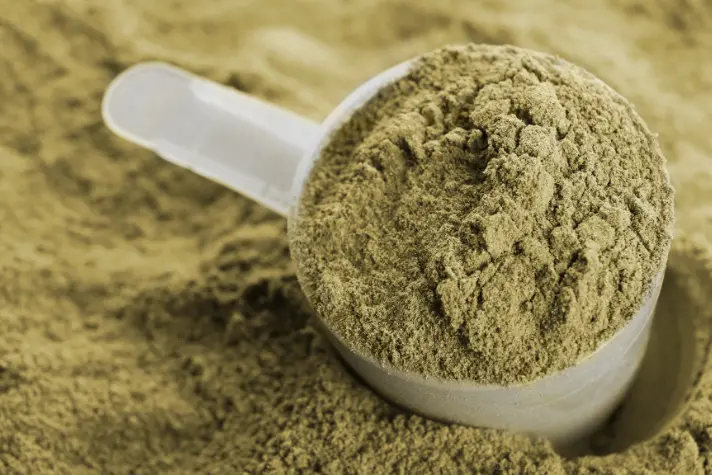 Is Hemp Protein the Best Vegan Protein Source?