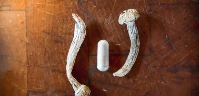 How Long Do Shrooms Stay in Your System? Understanding Its Effects