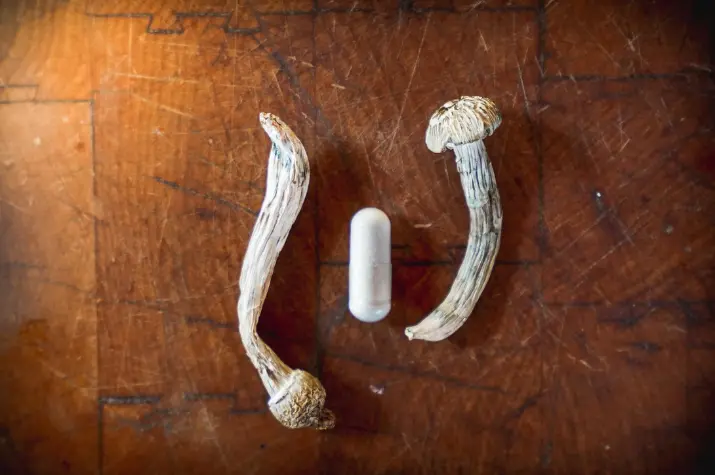 How Long Do Shrooms Stay in Your System? Understanding Its Effects