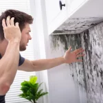 Important Things to Do if You Suspect Mold Exposure